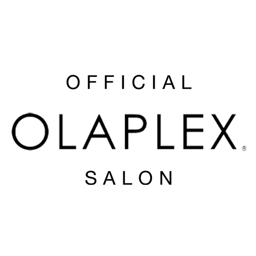 olaplex-best